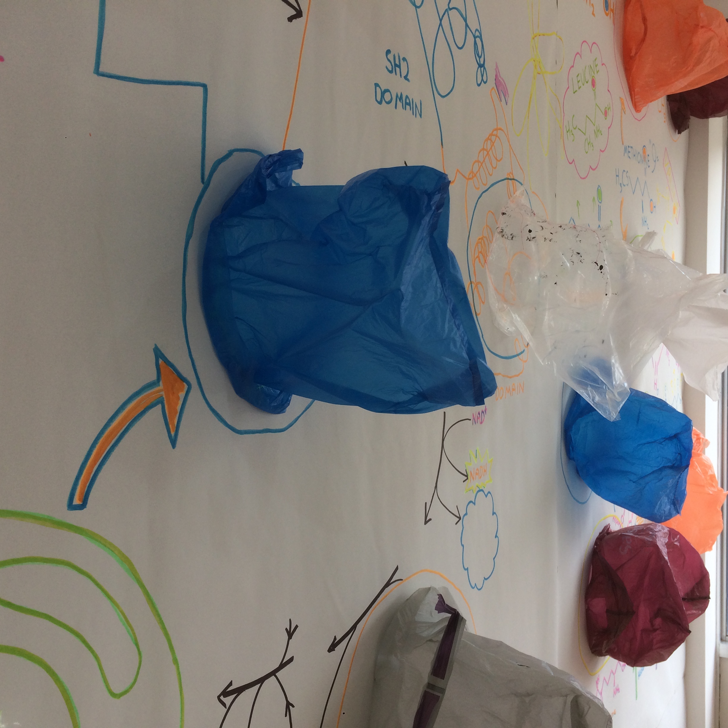 4BBF5F31-FA66-412F-A962-C79980F2BB19